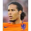 Virgil van Dijk trøye